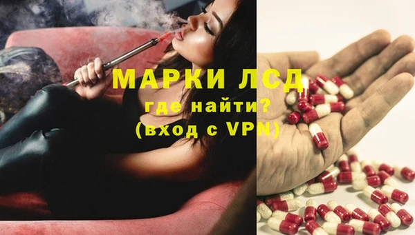 spice Богданович